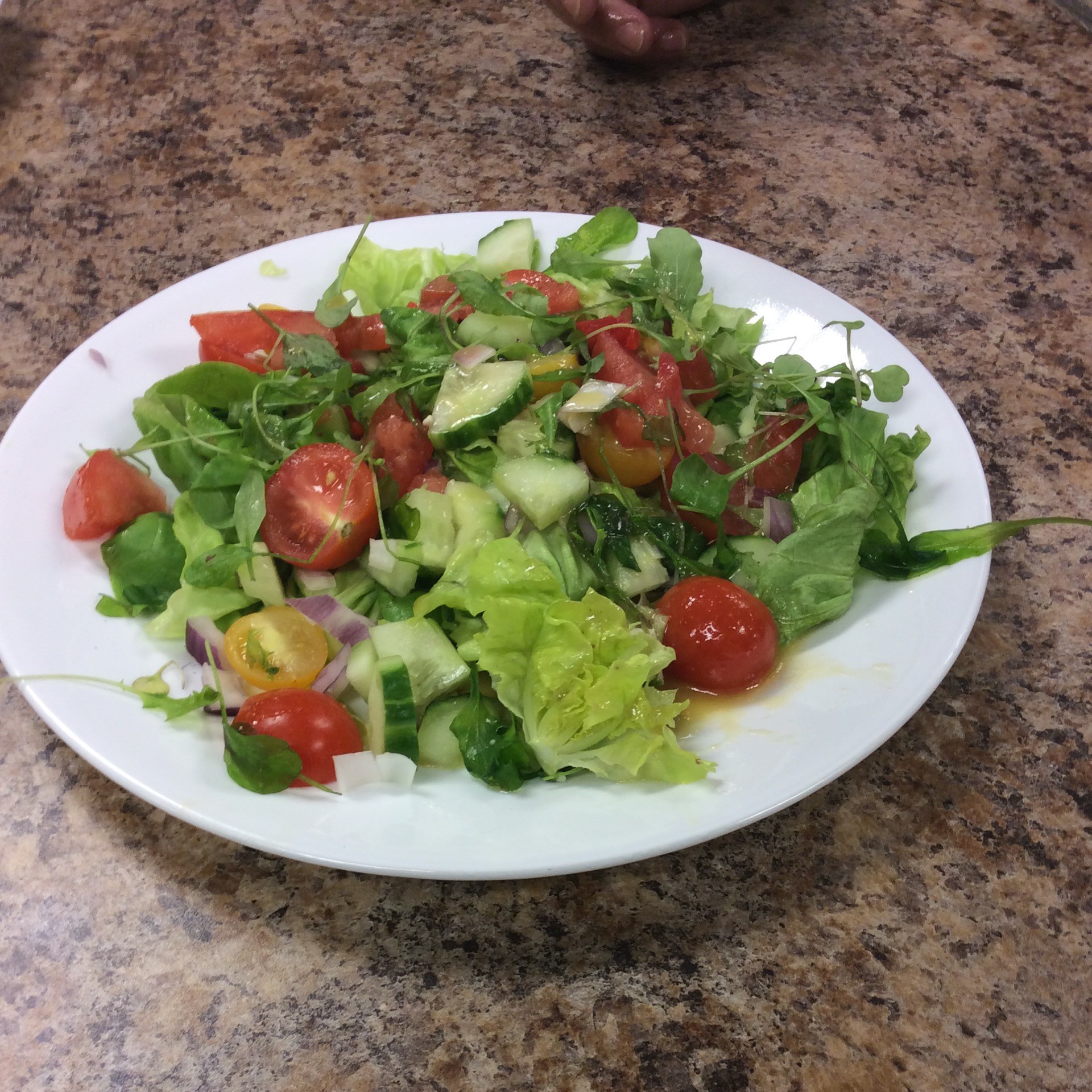 Organic Seasonal Garden Salad The Cafe